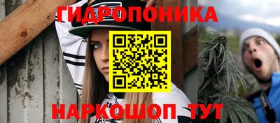PSILOCYBIN Чебоксары