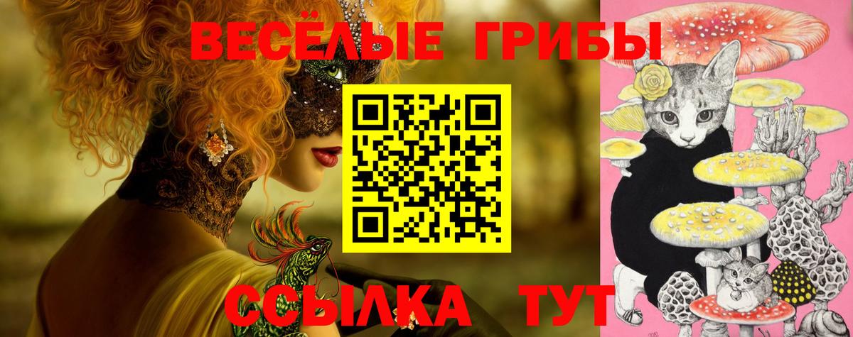 Галлюциногенные грибы мухоморы Менделеевск